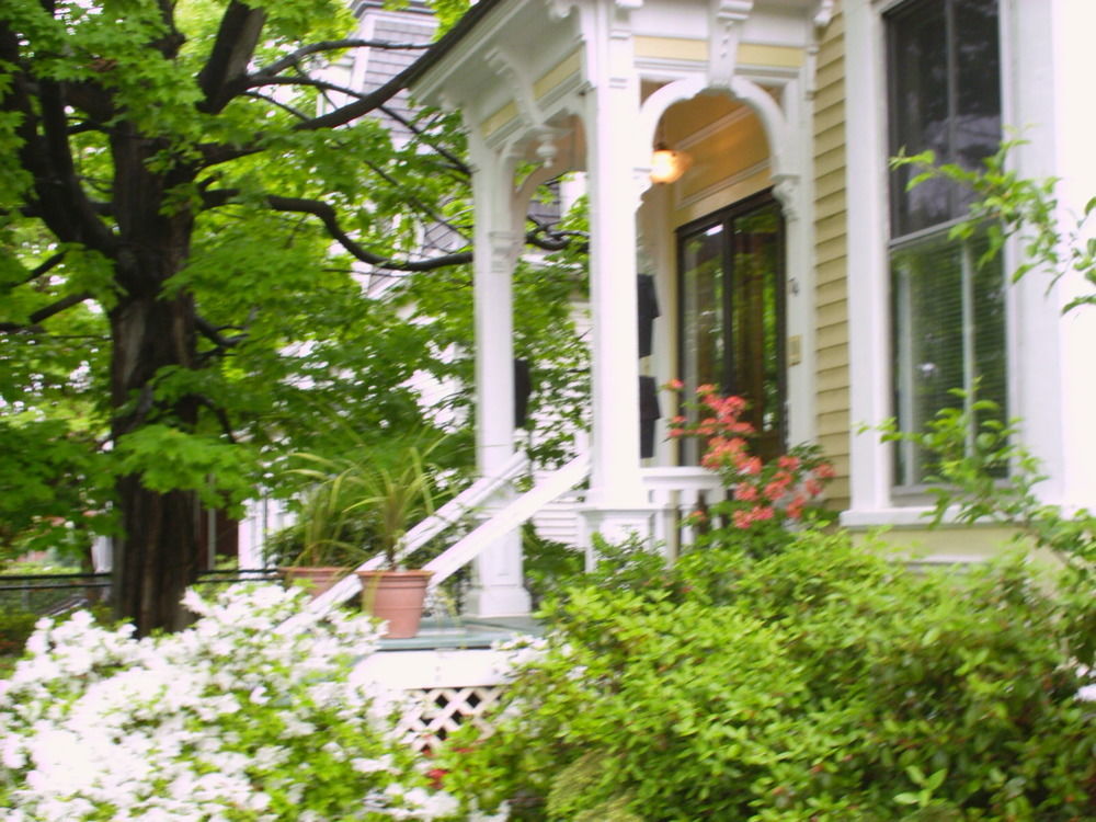 Parkside On Ellery 호텔 케임브리지 외부 사진